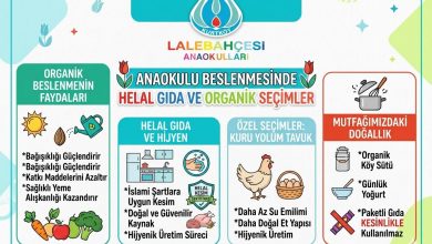 Anaokulunda Helal ve Organik Beslenmenin Önemi Merhaba Değerli Anne ve Babalar!